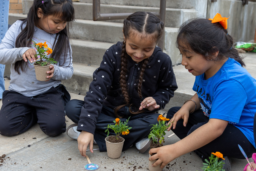 girls plant flowers