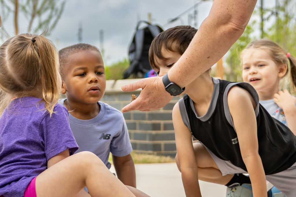 A small group of children lean in closely as an adult gently holds a butterfly in their hand, the kids watching with curiosity and focus.