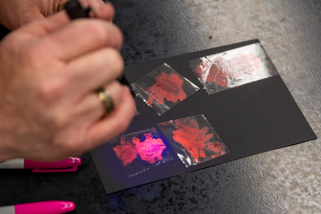 Close-up of fingerprint samples on cards under UV light, showing glowing patterns for analysis.