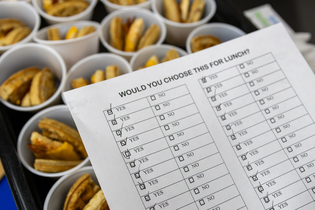 Close-up of a taste-test feedback sheet asking, "Would you choose this for lunch?" Every visible response is marked YES, with small cups of chicken and waffle sandwich samples arranged underneath.
