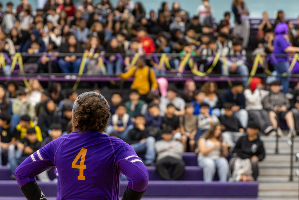 A Mayfield Middle School volleyball player wearing purple jersey number 4 stands with her hands on her hips, facing the crowded gym bleachers decorated with purple and yellow streamers.