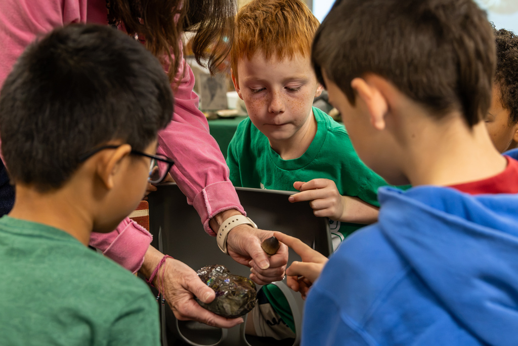 Dennis Elementary students gather around a collection of fossils, closely examining specimens held by their teacher.