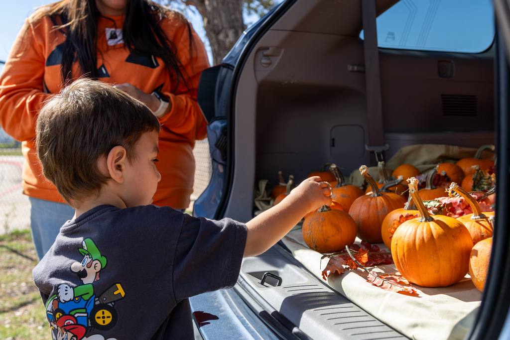A young boy wearing a Mario shirt reaches into the open trunk of an SUV to select a mini pumpkin from a display arranged on a blanket.