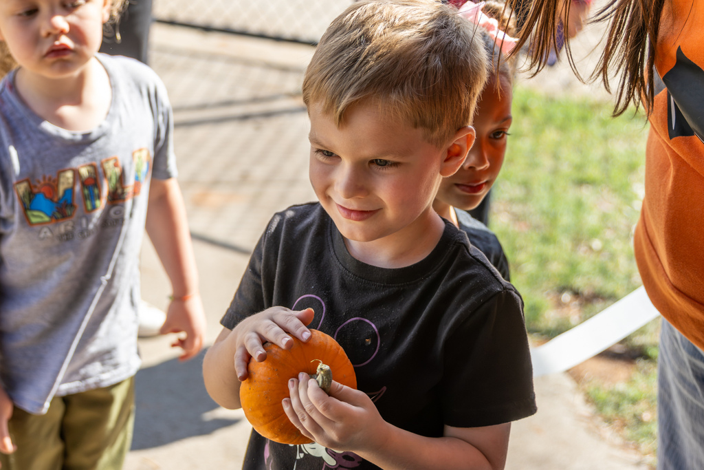 A young boy smiles as he holds a small, round orange pumpkin carefully in both hands.