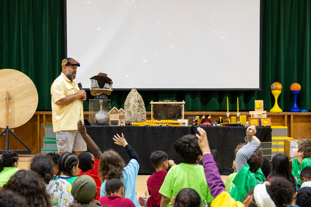 A Sweet Stingers presenter speaks into a microphone on stage while a gym floor full of seated elementary students raise their hands.