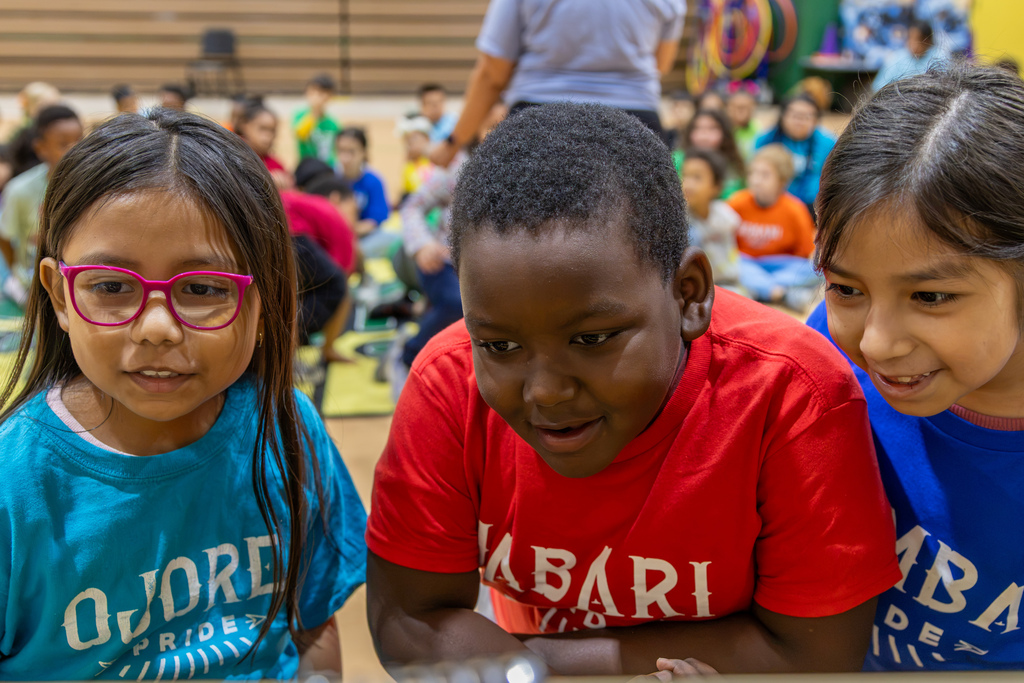 Three elementary students lean over a display table, smiling with fascination as they look closely at a bee exhibit.