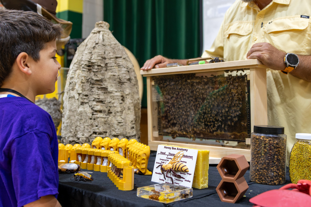A young boy wearing a purple shirt gazes into a clear glass observation hive filled with honeybees while a speaker presents.