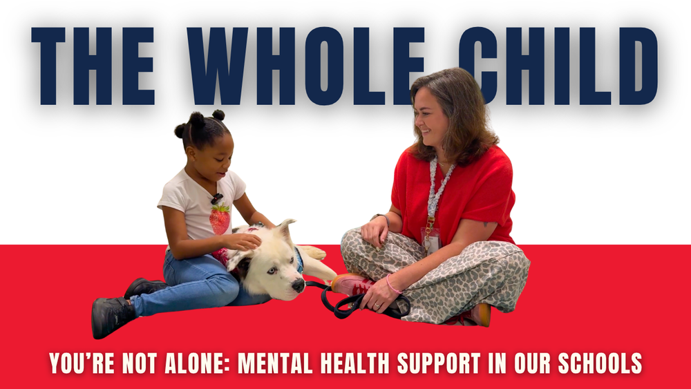PCPS Mental Health Videocast