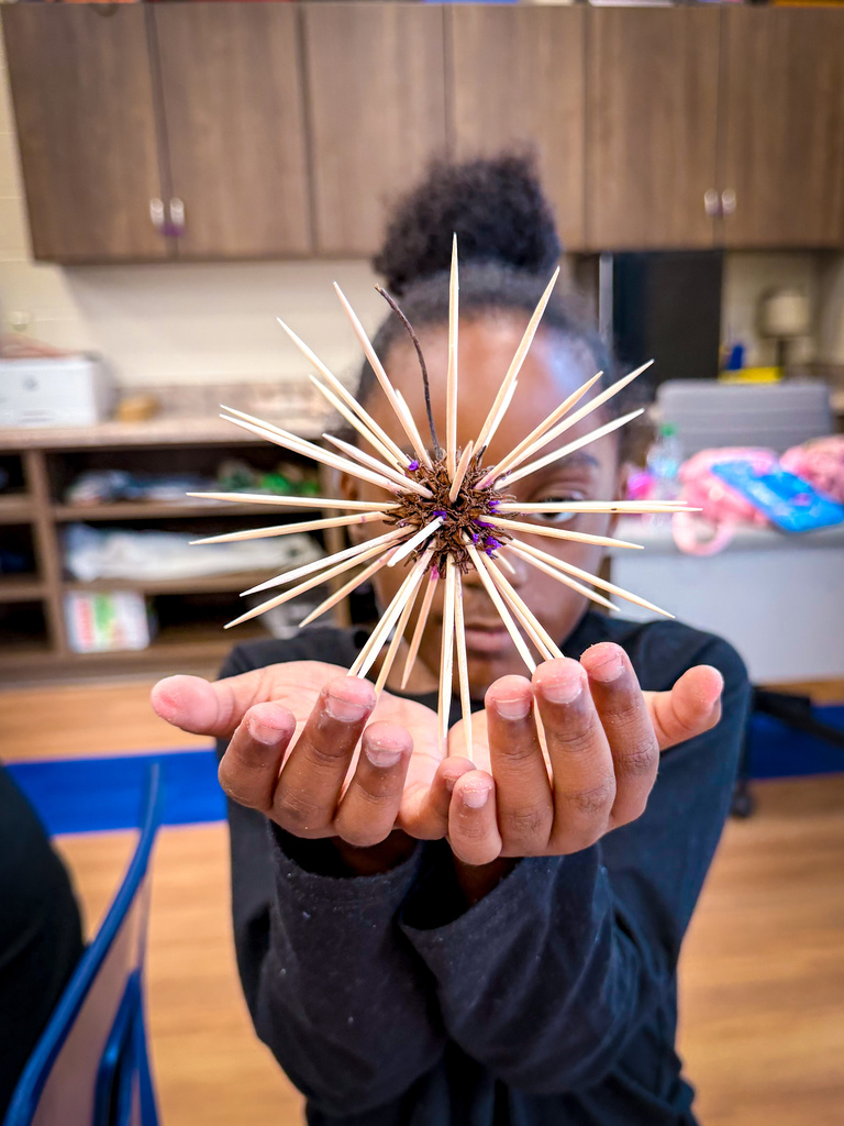 A child holds a star-shaped creation made of toothpicks. The child's hands are positioned to show the creation clearly.