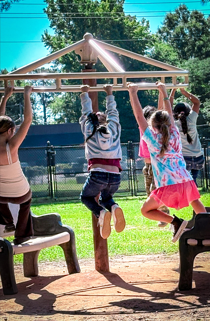 Four children in different colored tops hang from a playground bar in a grassy park.