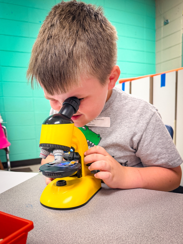 A boy in a gray shirt, using a yellow microscope on a table in a classroom with teal walls.