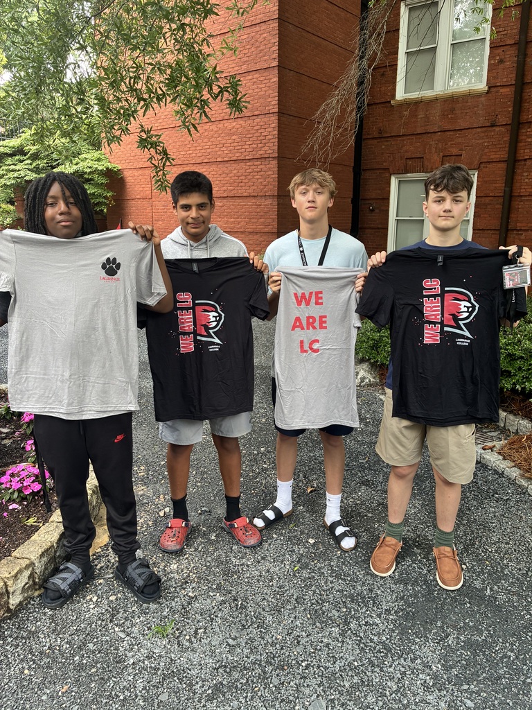 Four boys wearing black and gray T-shirts holding them up in front of a brick building.