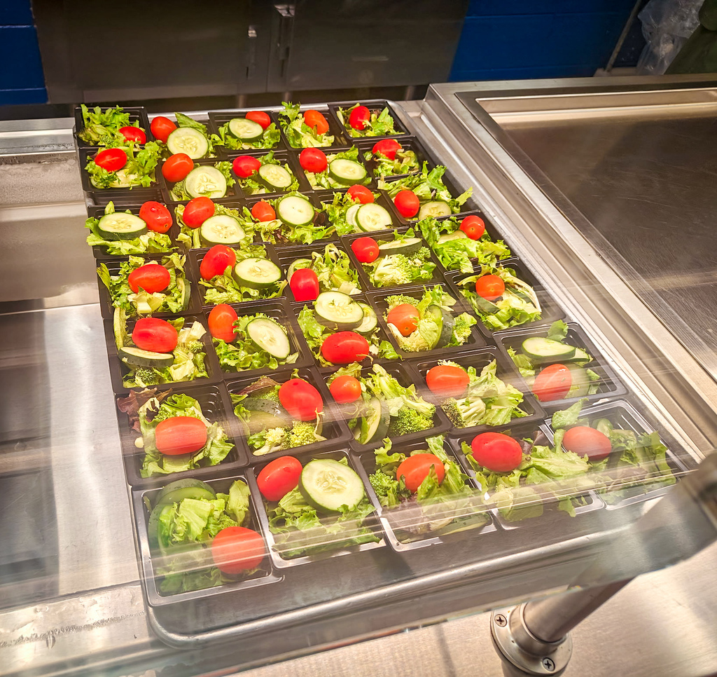 A stainless steel food prep area with a transparent cover. Salads are in clear containers, featuring chopped tomatoes and cucumbers.