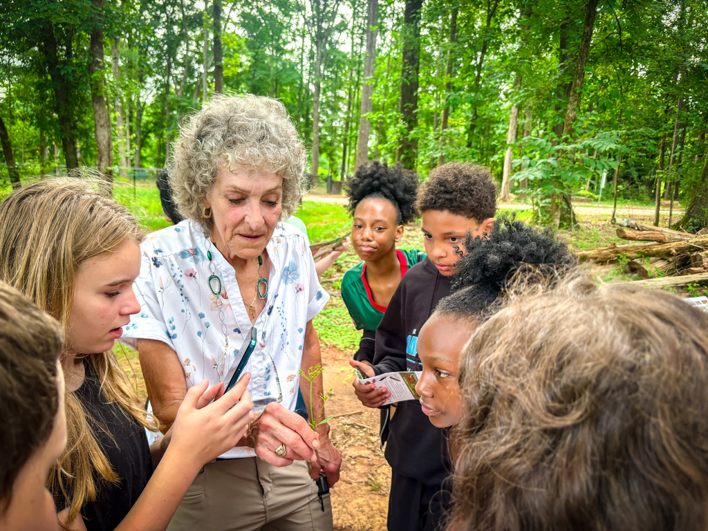 A woman stands in a forest, showing something to children. The children are looking at the woman. The background features a lush green forest.
