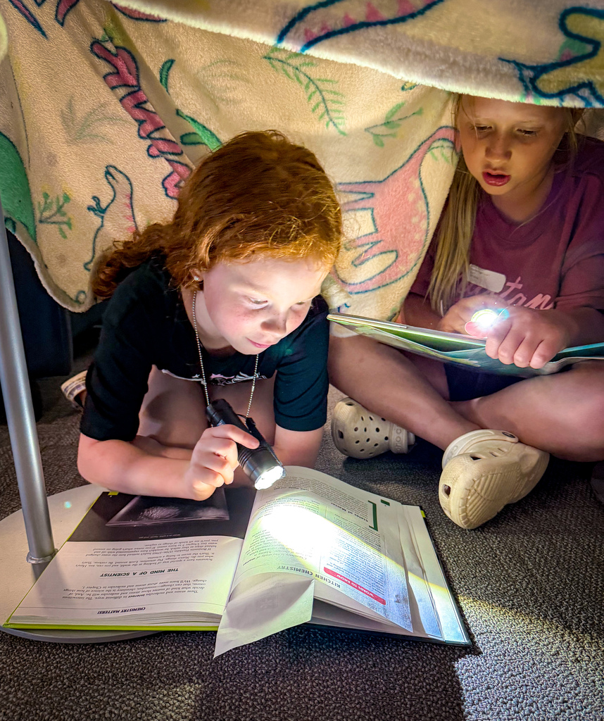 Two young girls sitting on the floor, one holding a flashlight and reading a book, the other holding a book with a flashlight.