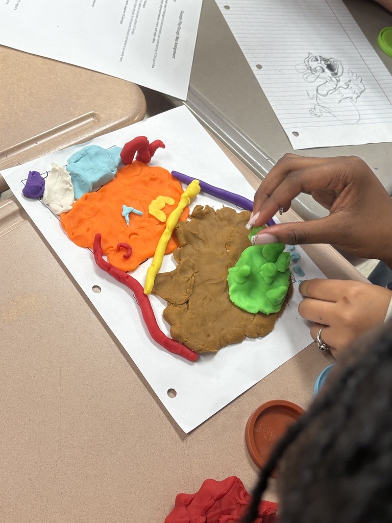Person with braided hair making a model of the human digestive system with playdough on a desk.