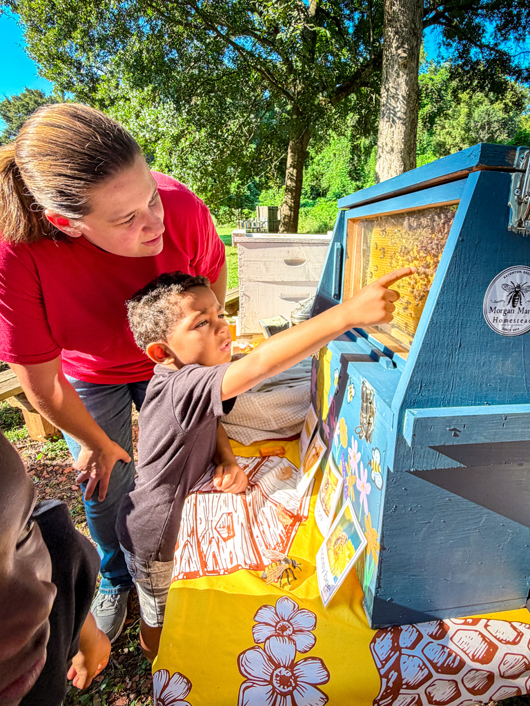 A woman and a boy are looking at a beehive inside a blue box on a table.