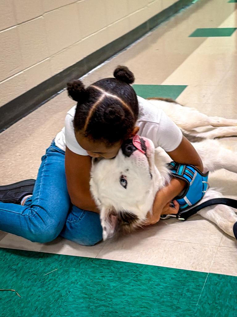 A young girl hugs a large dog wearing a blue harness on a tiled floor with green borders.