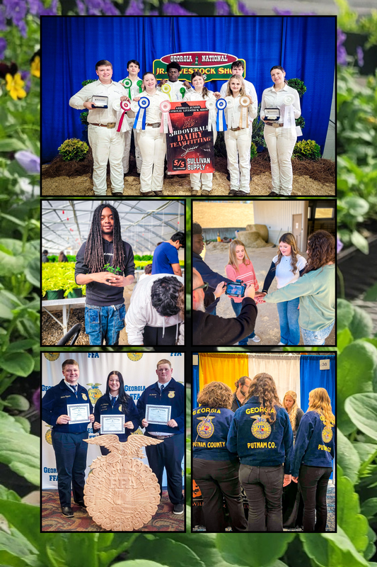 Putnam FFA