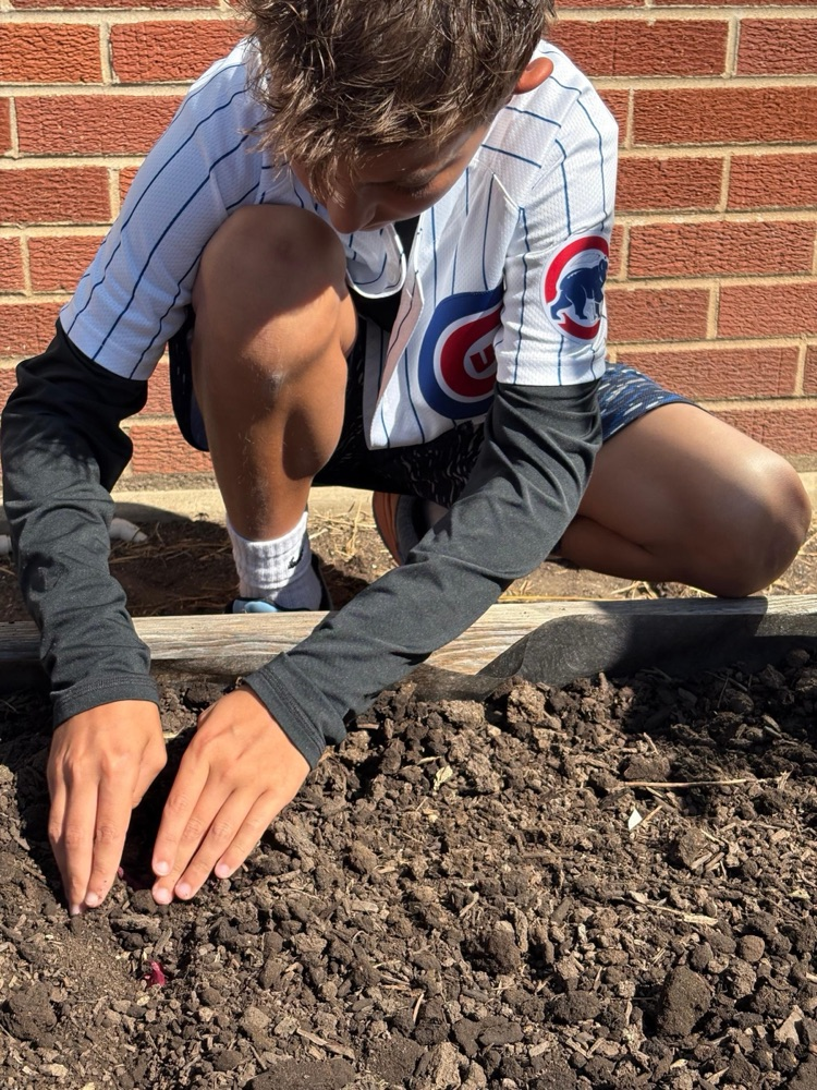 master gardeners 