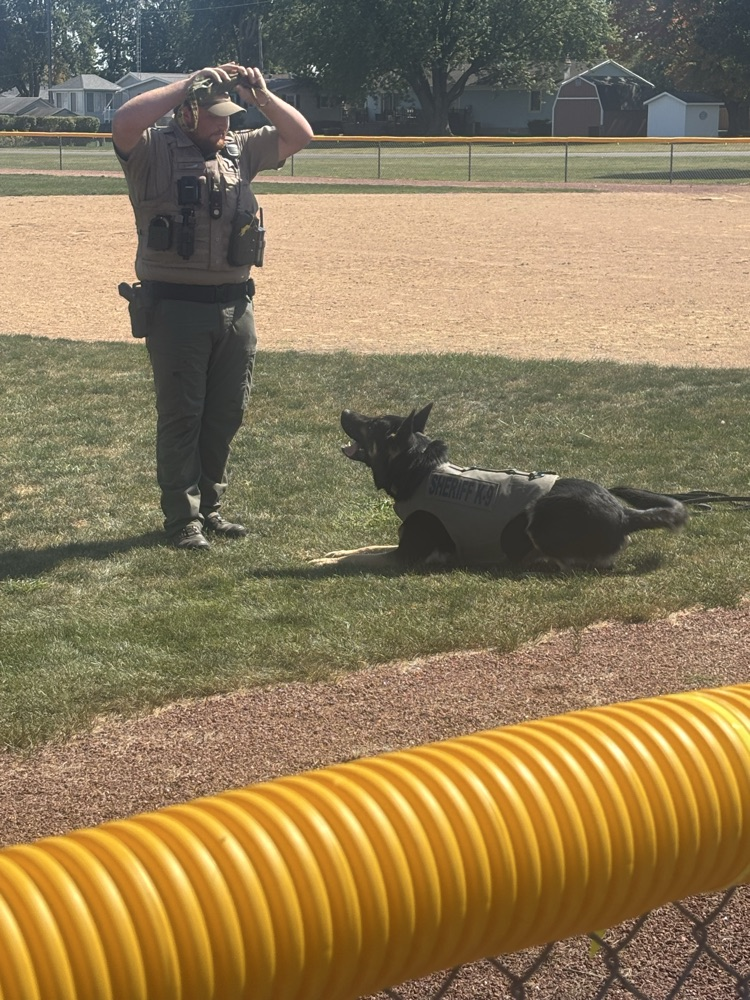 Deputy Quick and Bear demonstration 