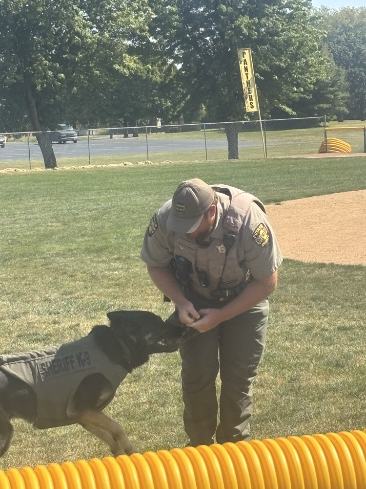 Deputy Quick and Bear demonstration 