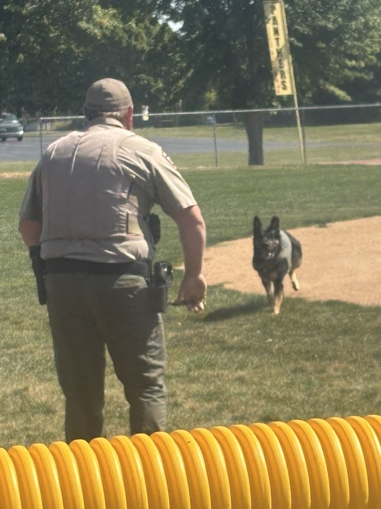 Deputy Quick and Bear demonstration 