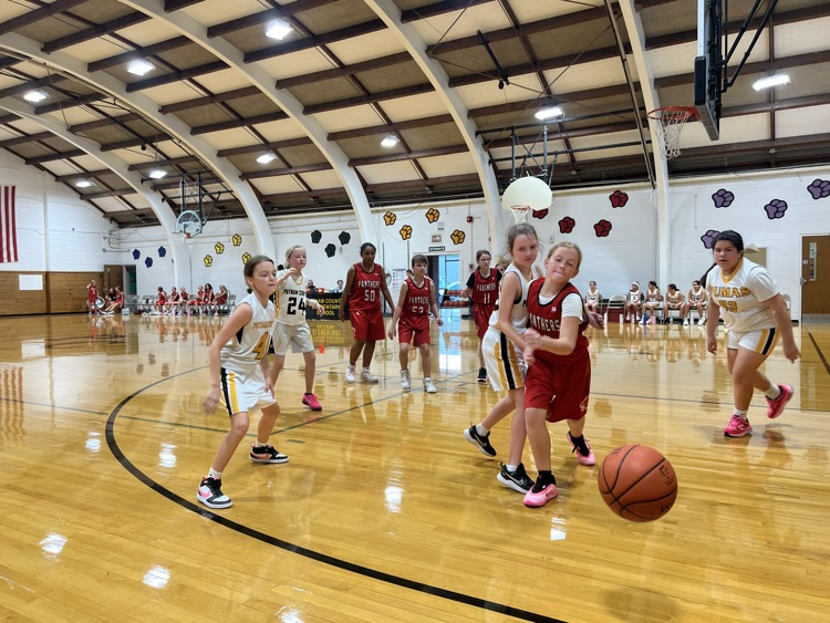 Girls Basketball 