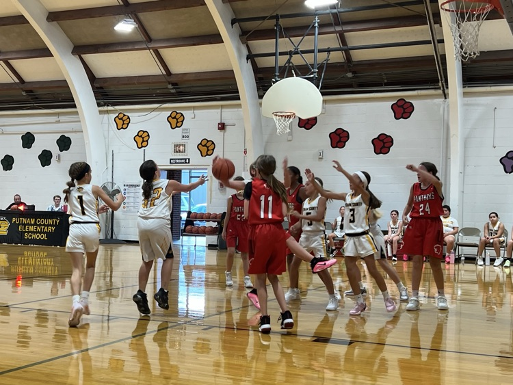 Girls Basketball 