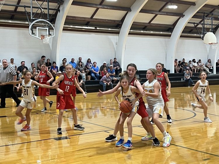 Girls Basketball 