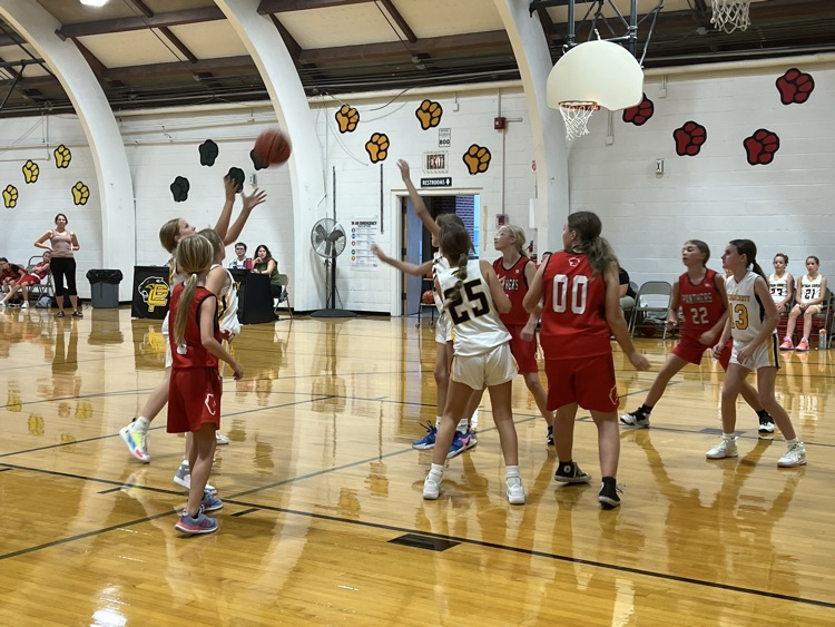 Girls Basketball 
