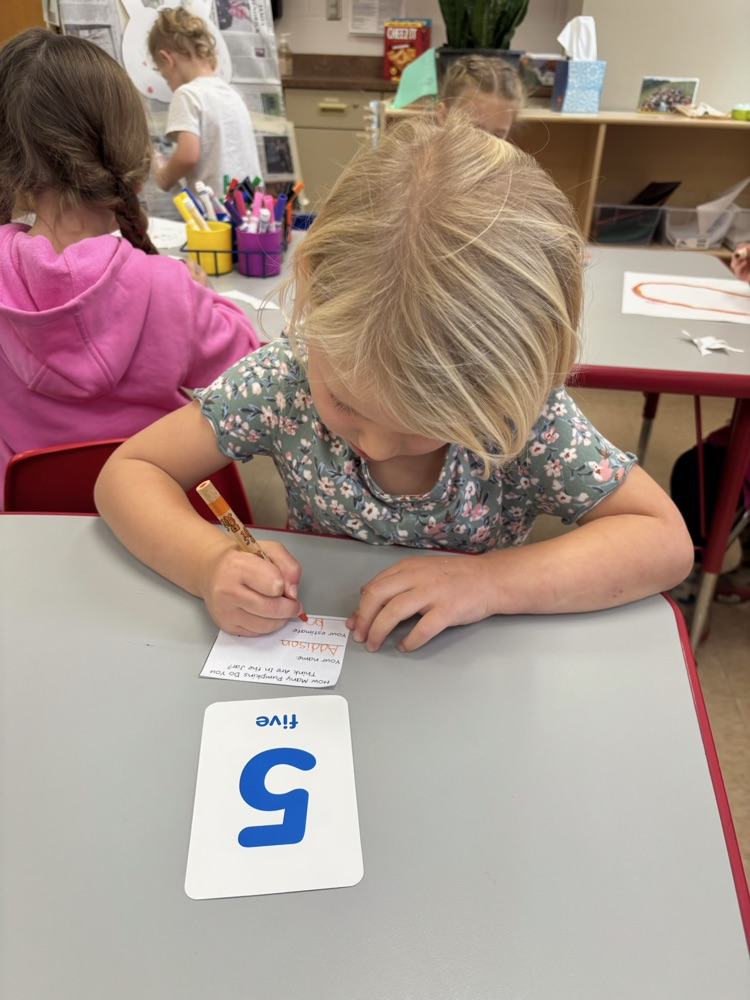 Preschool math activity