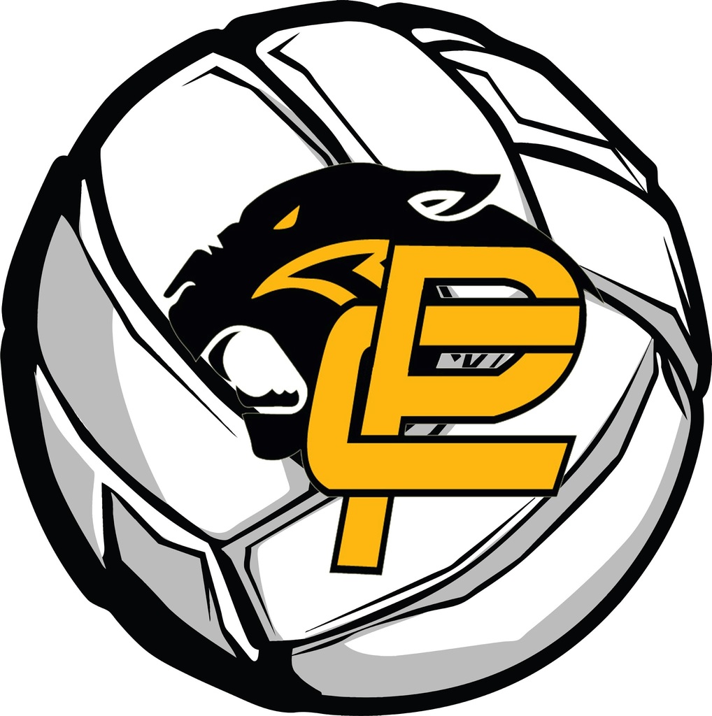 Volleyball with PC Logo