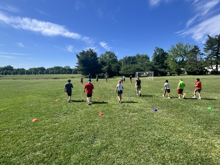 field day