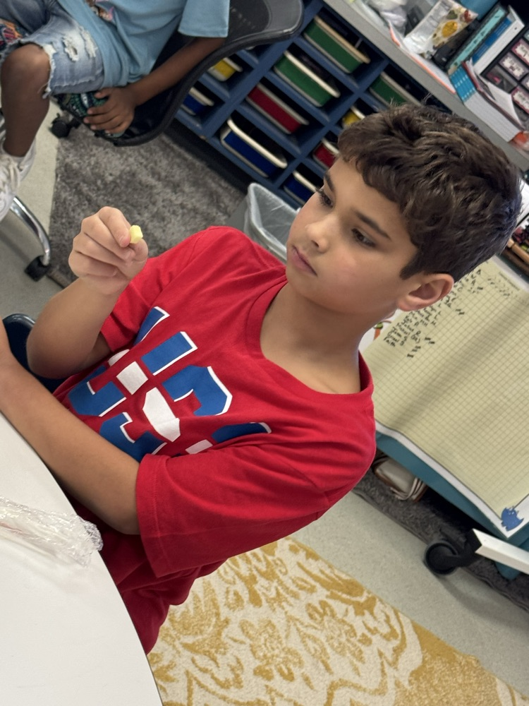 Child, eating salad