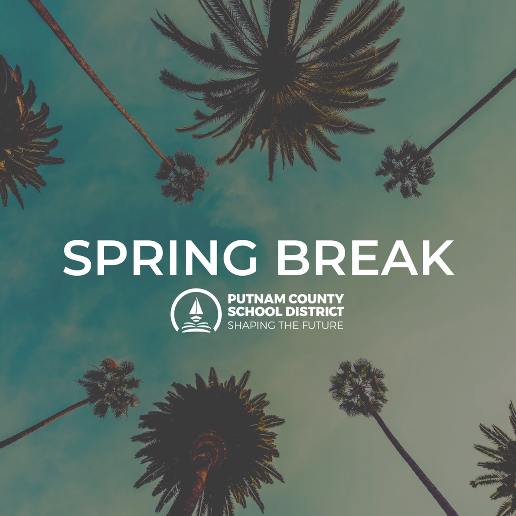 Blue Sky and Palm Trees Spring Break Party Instagram Post (1)