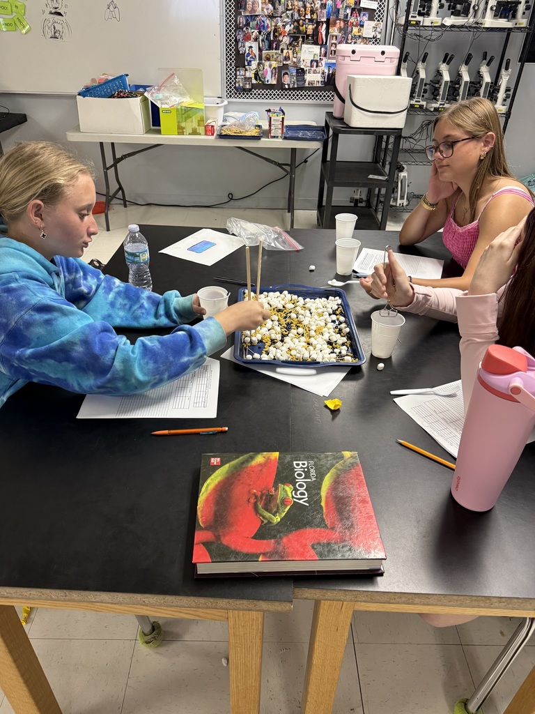 students working on biology lesson