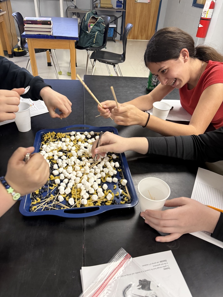students working on biology lesson