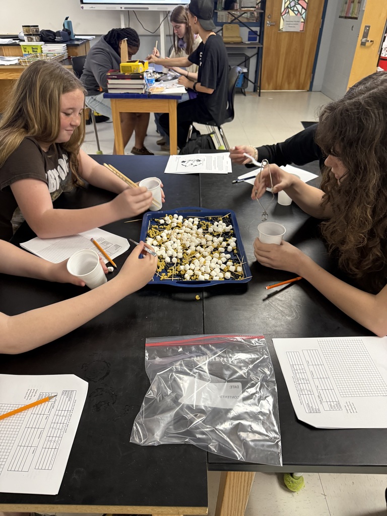 students working on biology lesson