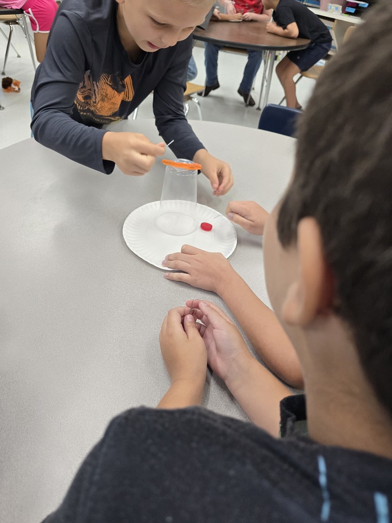 k-5 Stem Crumpton 2026