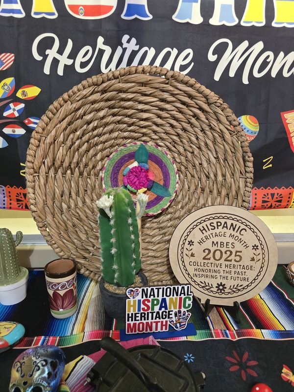 Picture of some wicker and a cactus display.