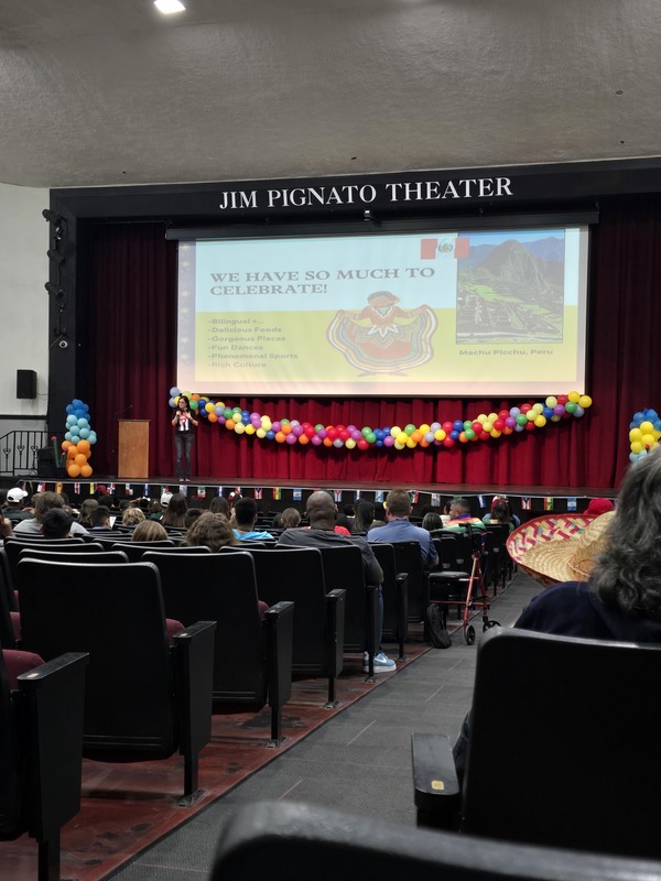 Picture of auditorium  looking up at the stage and screen.