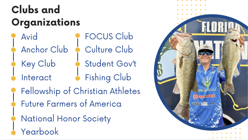 clubs