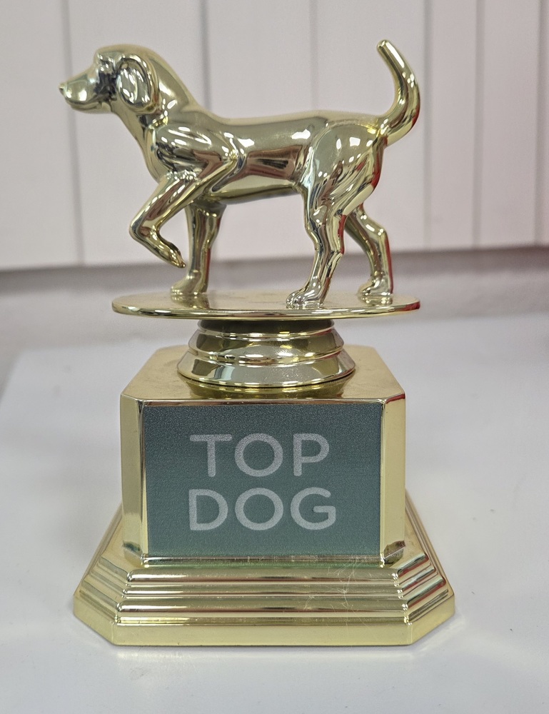 Top Dog Trophy 