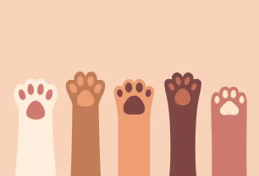 animal paws