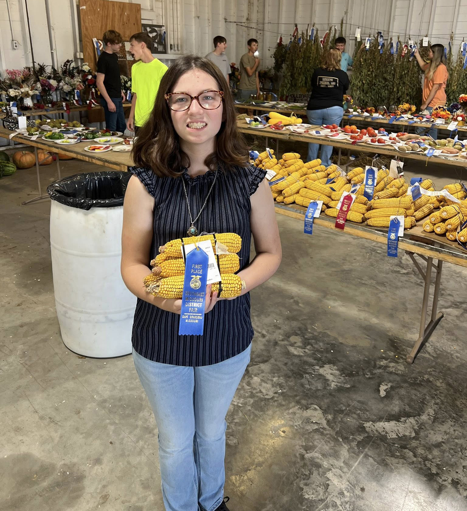 Semo Fair