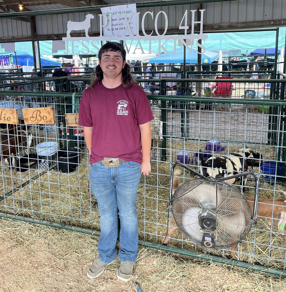 Semo Fair