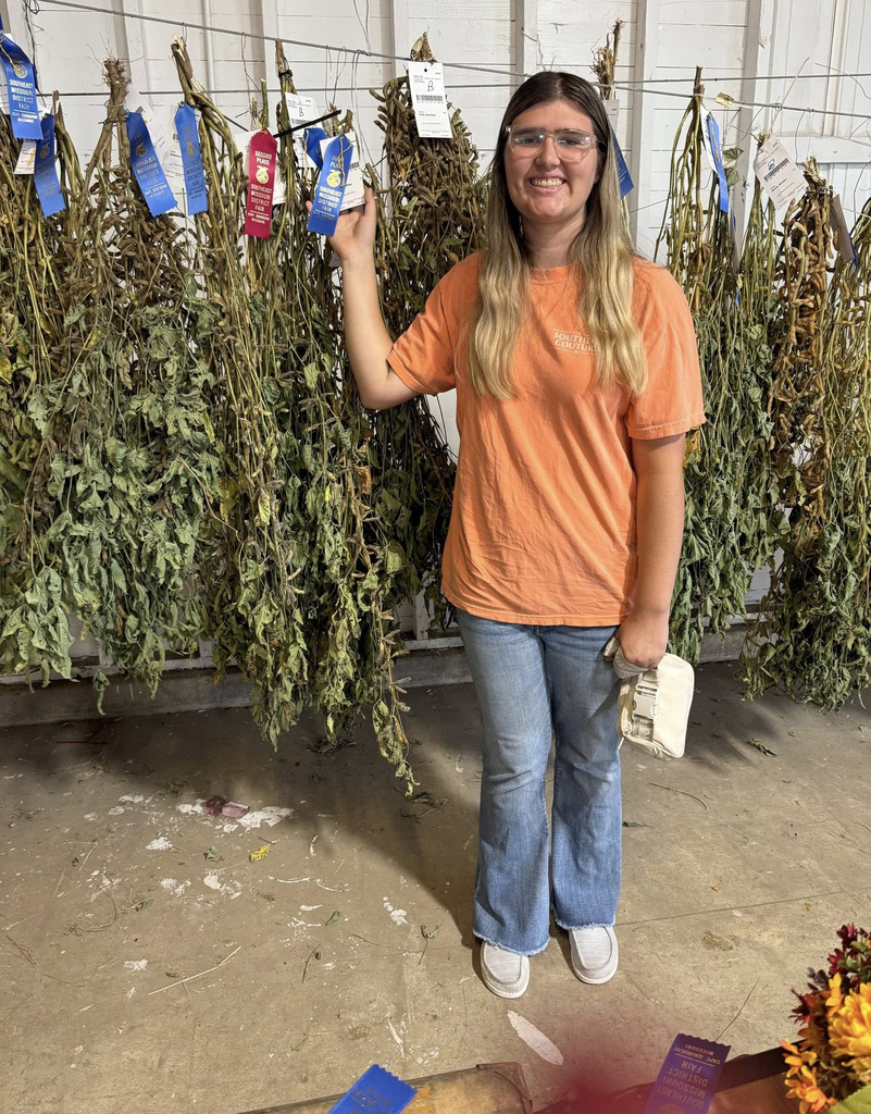 Semo Fair