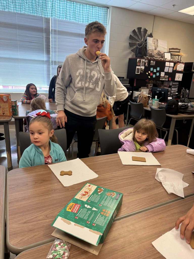 Mrs. Haynes’s math classes had a little help with an engineering project this past week