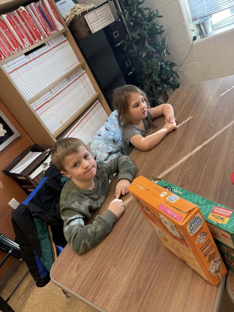 Mrs. Haynes’s math classes had a little help with an engineering project this past week